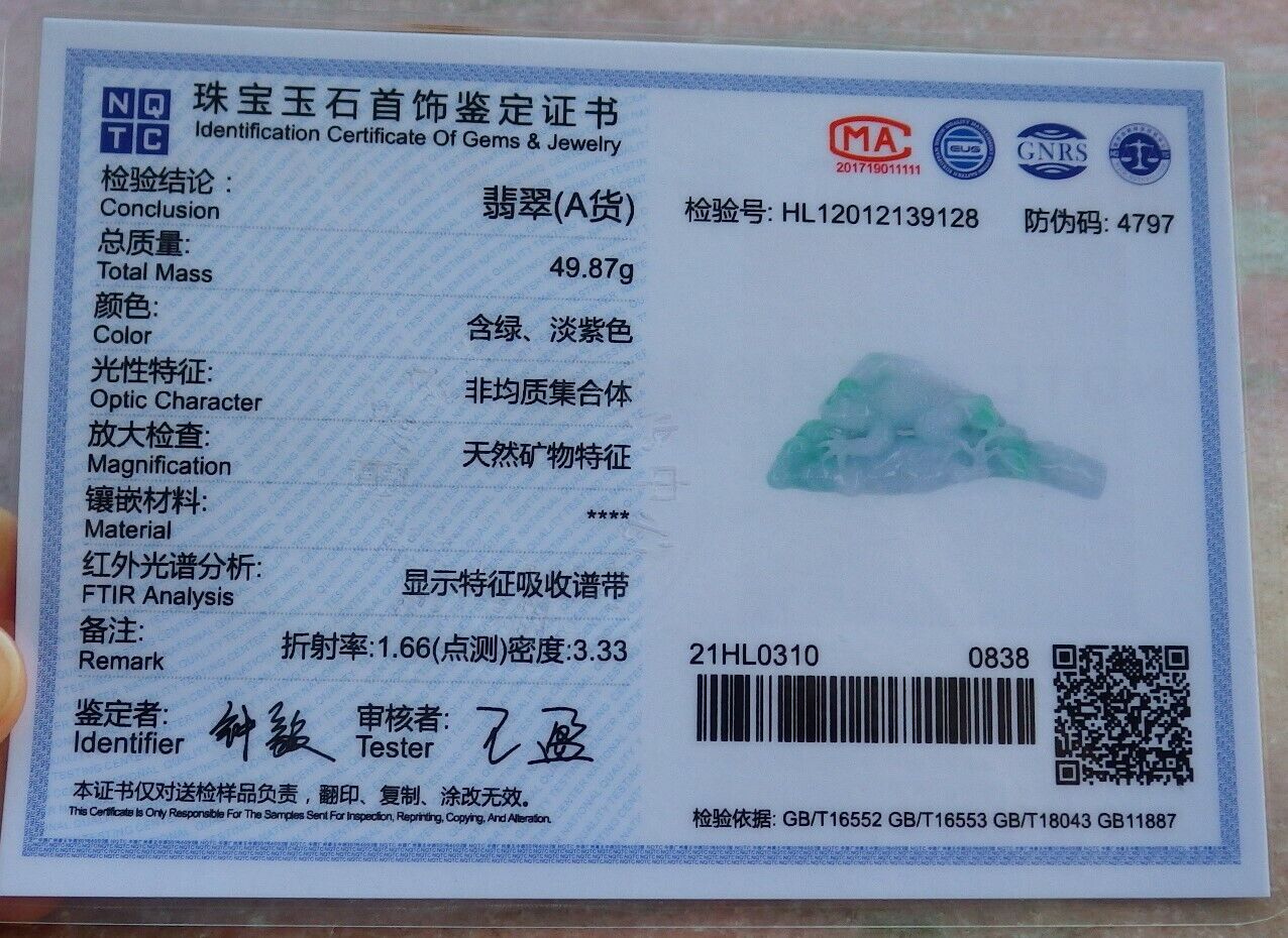 Certified Green 100% Natural A Jade jadeite Pendant Dragon Lizard Tree Leaf Necklace 龙蜥蜴 520041 TN