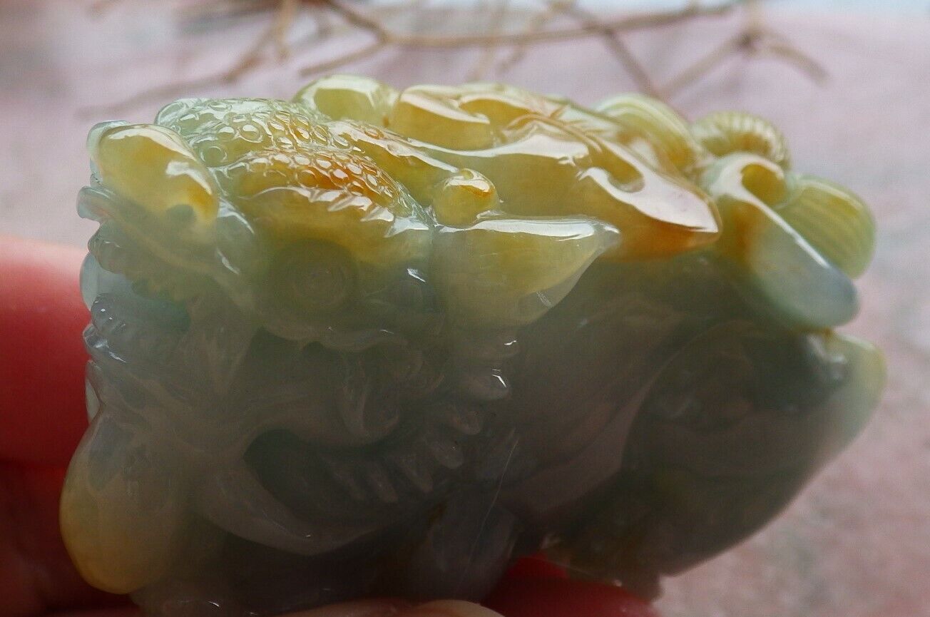 Certified Yellow Green Burma 100% Natural A Jade jadeite Display Dragon Pi Xiu Money Coin Lotus Flower Ruyi 风水貔貅 498174 TN