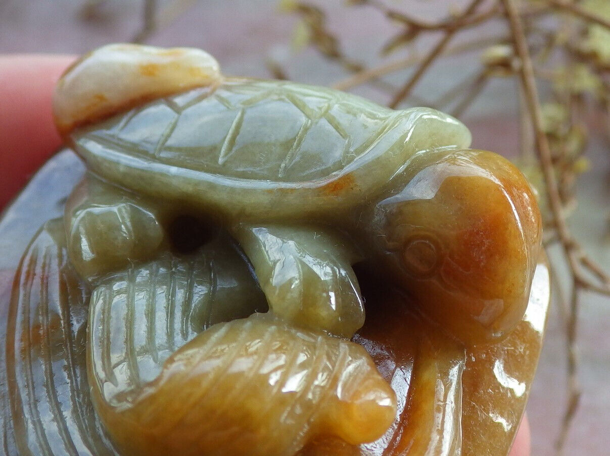 Certified Yellow Green Burma 100% Natural A Jade jadeite pendant Turtle Ruyi Necklace 长寿龟 632601 TN