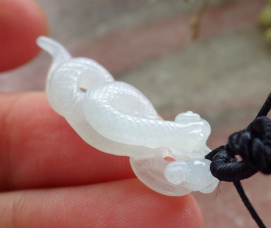 Certified Icy Pale Green Burma 100% Natural A Jade jadeite pendant Snake Money Coin Ruyi Necklace 招财蛇 573884 TN