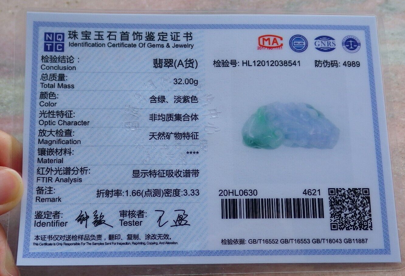 Certified Green Pale Lavender 100% Burma Natural A Jade jadeite Pendant Dragon Pi Xiu Ruyi Money Coin Necklace 风水貔貅 521966 TN