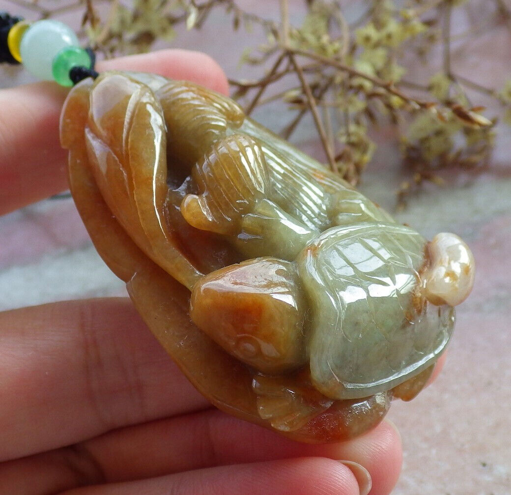 Certified Yellow Green Burma 100% Natural A Jade jadeite pendant Turtle Ruyi Necklace 长寿龟 632601 TN