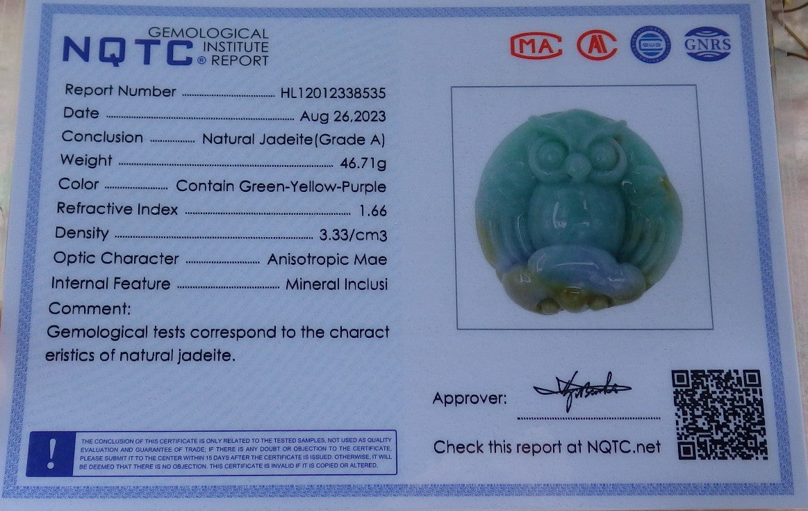 Certified Lavender Green Yellow Burma 100% Natural A Jade jadeite Pendant Owl Ruyi Necklace 猫头鹰 630314 TN