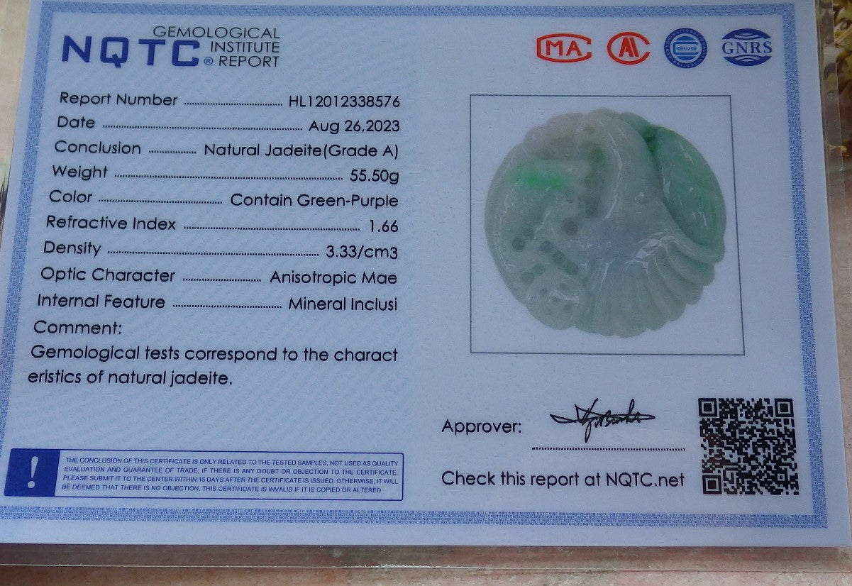 Certified Green Burma 100% Natural A Jade jadeite Pendant Eagle Fish Coin Necklace 大展宏图 630322 TN