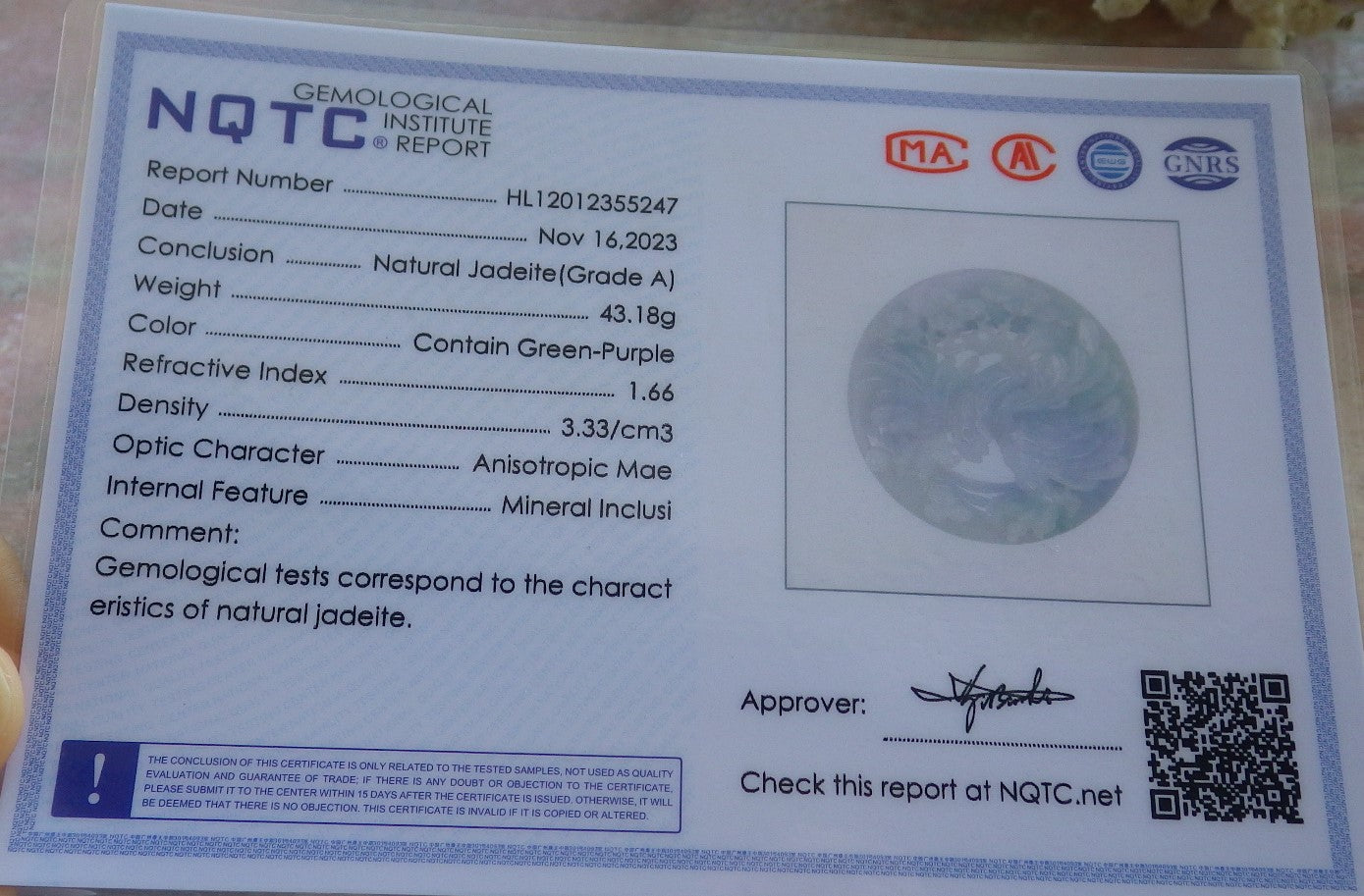 Certified Lavender Green Burma 100% Natural A Jade jadeite Pendant Eagle Tree Circle Necklace 大展宏图 640069 TN