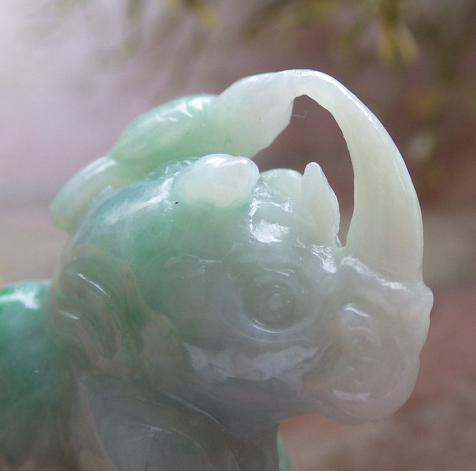 Certified Green Burma 100% Natural A Jade jadeite Display Rhinoceros Cow Ox 犀牛 645322 TN