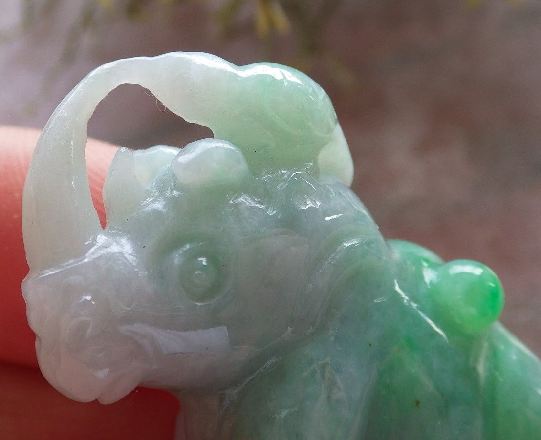 Certified Green Burma 100% Natural A Jade jadeite Display Rhinoceros Cow Ox 犀牛 645322 TN