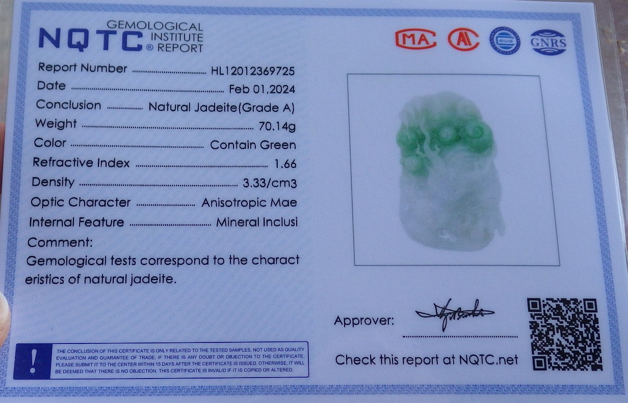 Certified Green Burma 100% Natural A Jade jadeite Pendant Dragon Necklace 生意兴隆 650425 TN