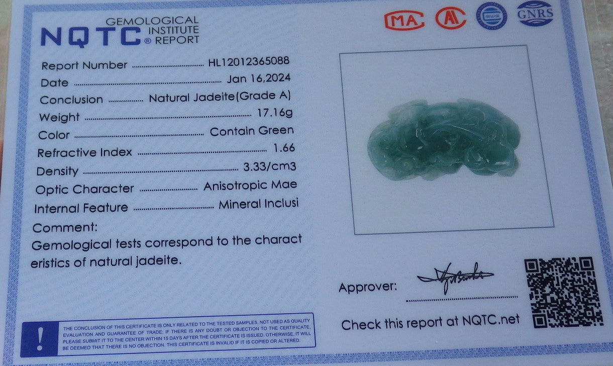Certified Icy Green Burma 100% Natural A Jade jadeite Pendant Dragon Pi Xiu Ruyi Coin Necklace 风水貔貅 650920 TN