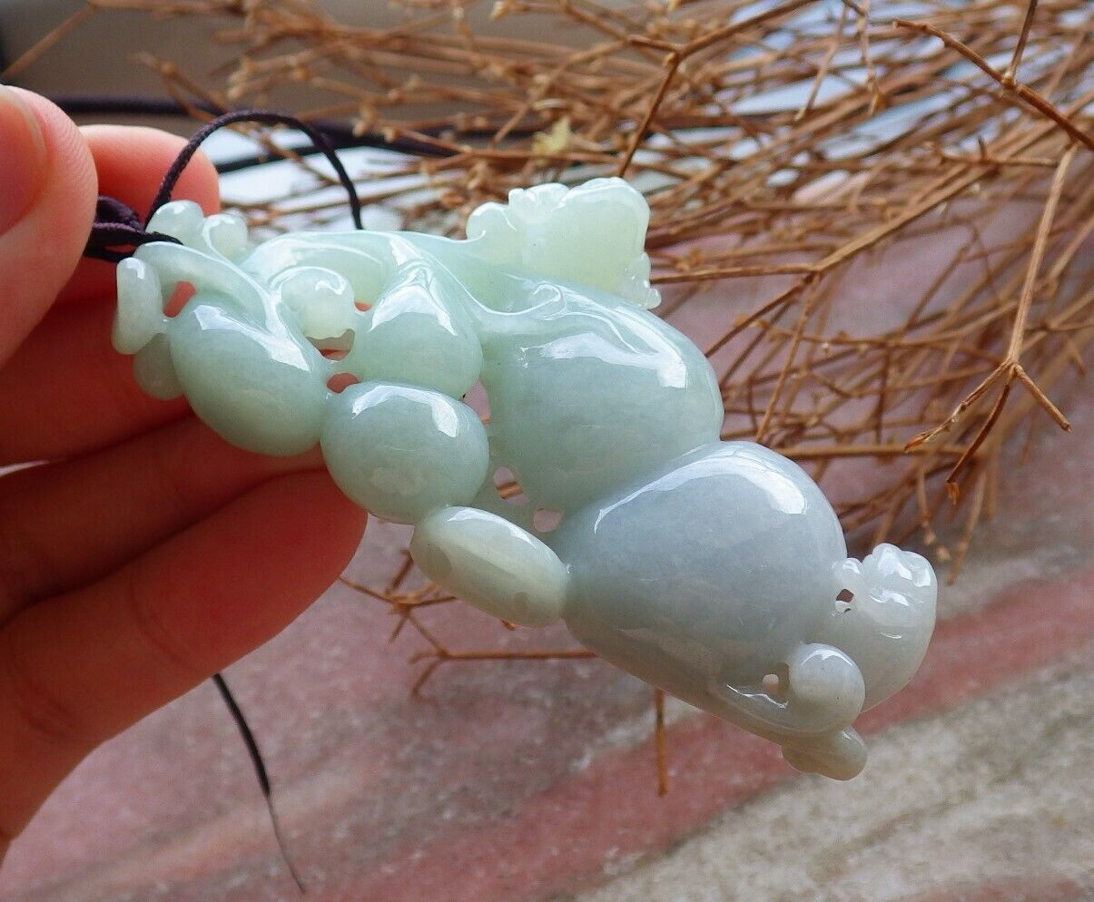 Certified Green 100% Natural A Jade jadeite Pendant Frog Toad Gourd Coin Ruyi Necklace 526364 TN