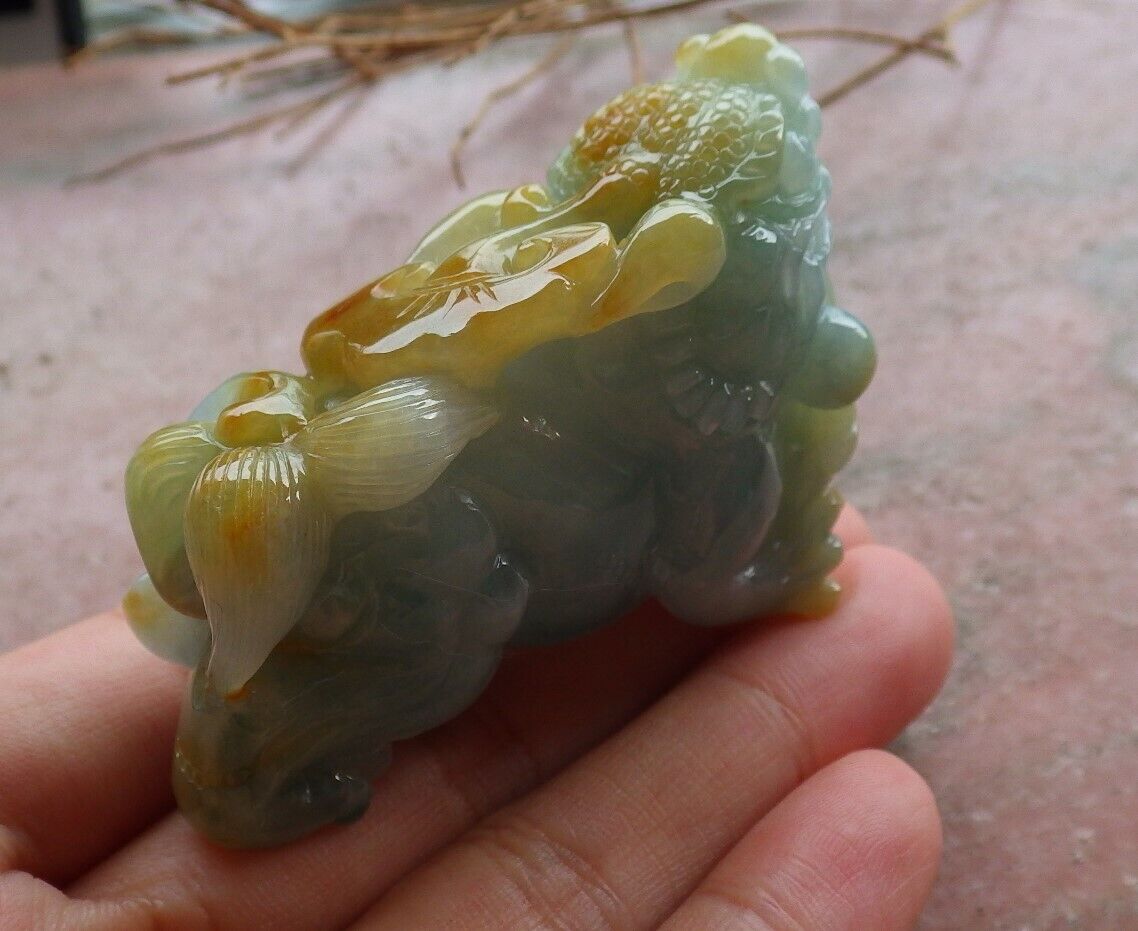 Certified Yellow Green Burma 100% Natural A Jade jadeite Display Dragon Pi Xiu Money Coin Lotus Flower Ruyi 风水貔貅 498174 TN