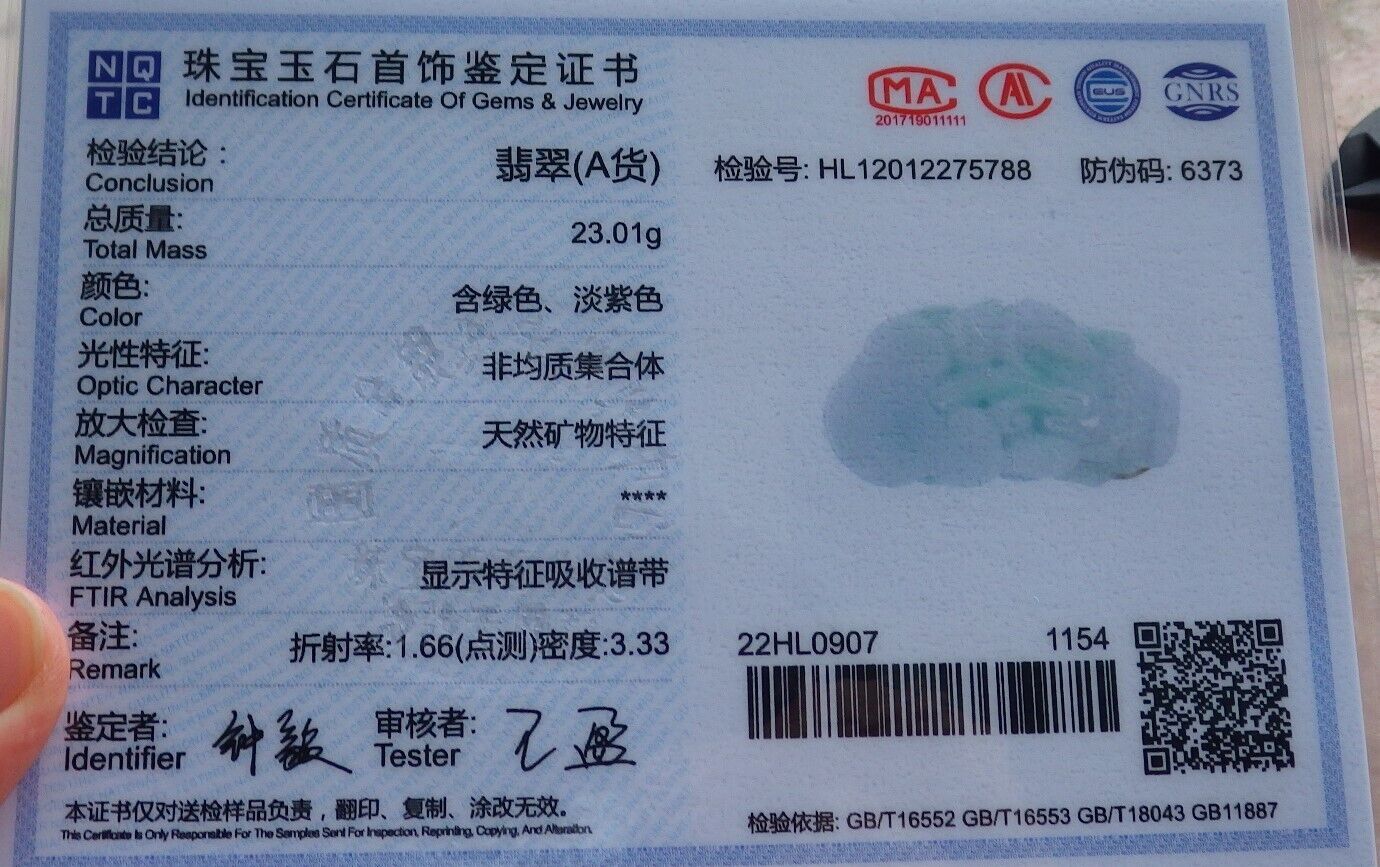 Pair Certified Green Burma 100% Natural A Jade jadeite Pendant Dragon Pi Xiu Money Coin Ruyi Necklace 风水貔貅 574573 TN