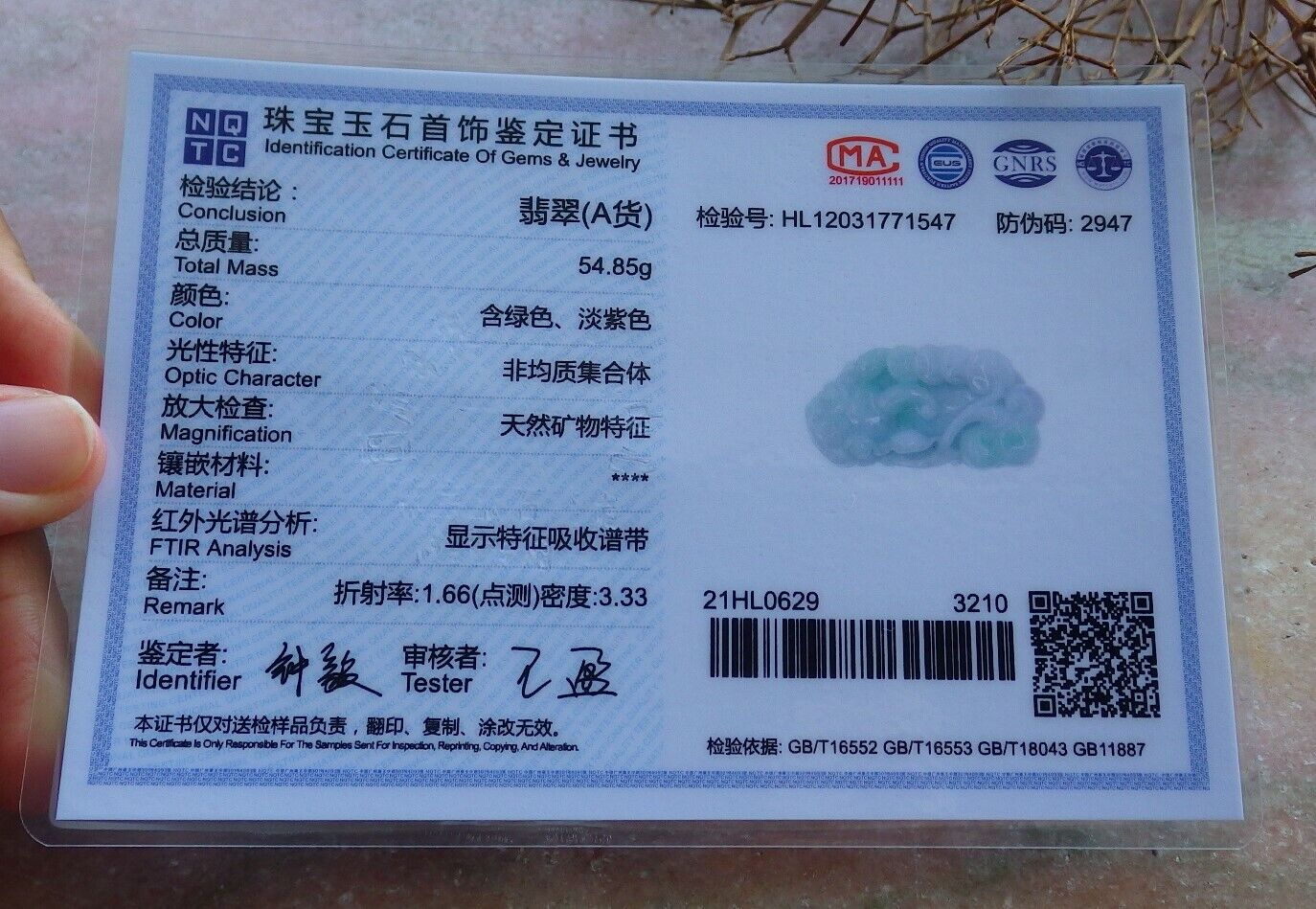 Certified Green 100% Natural A Jade jadeite Pendant Dragon Pi Xiu Money Coin Ruyi Necklace 风水貔貅 529216 TN