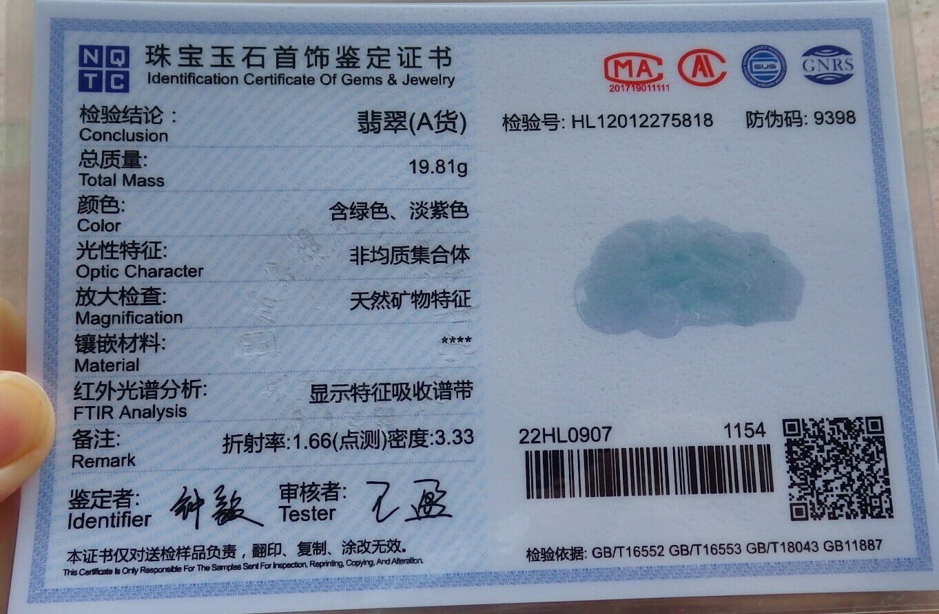 Pair Certified Green Pale Lavender Burma 100% Natural A Jade jadeite Pendant Dragon Pi Xiu Money Coin Ruyi Necklace 风水貔貅 573992 TN
