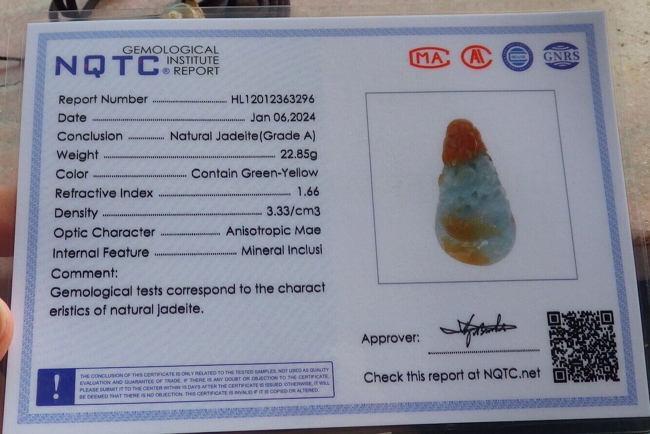 Certified Red Green Burma 100% Natural A Jade jadeite Pendant Dragon Money Coin Ruyi Necklace 生意兴隆 646505 TN