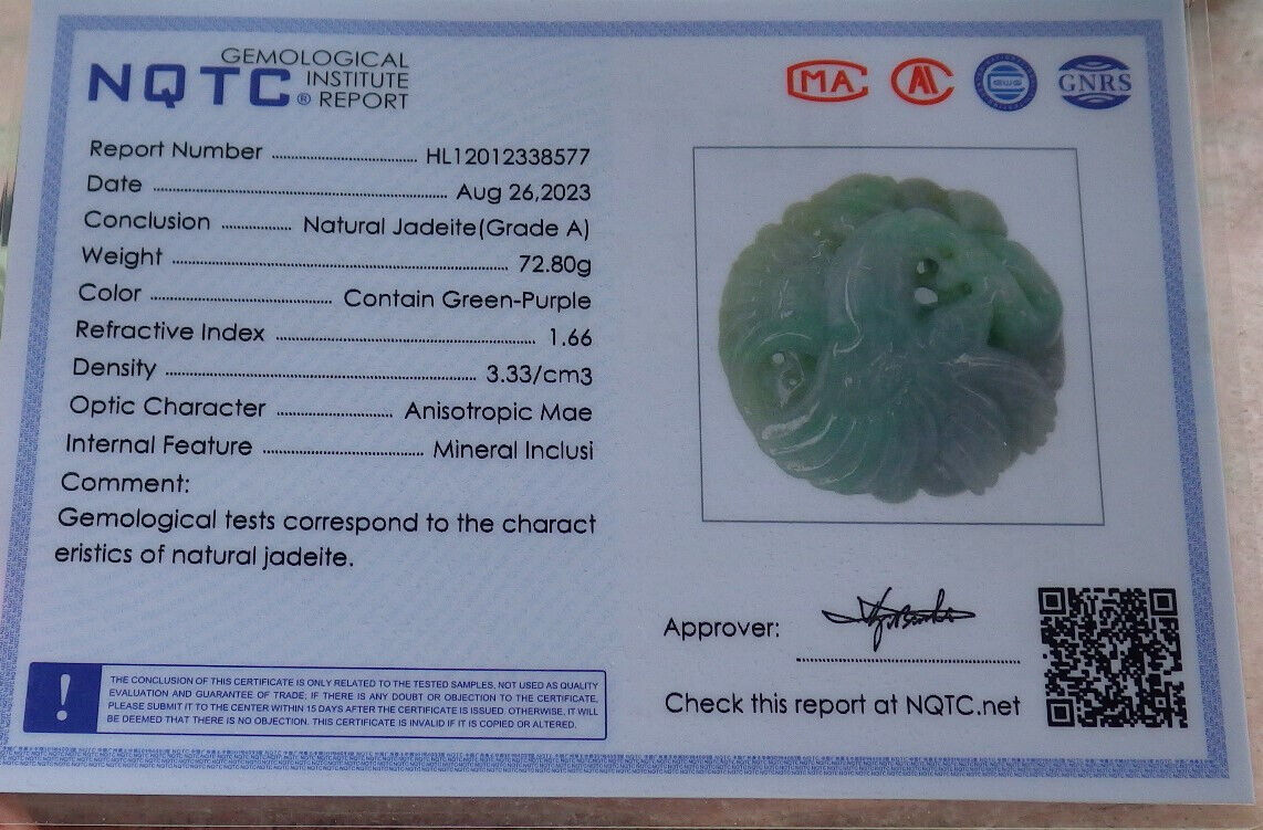 Certified Green Burma 100% Natural A Jade jadeite Pendant Eagle Snake Coin Necklace 大展宏图 633482 TN