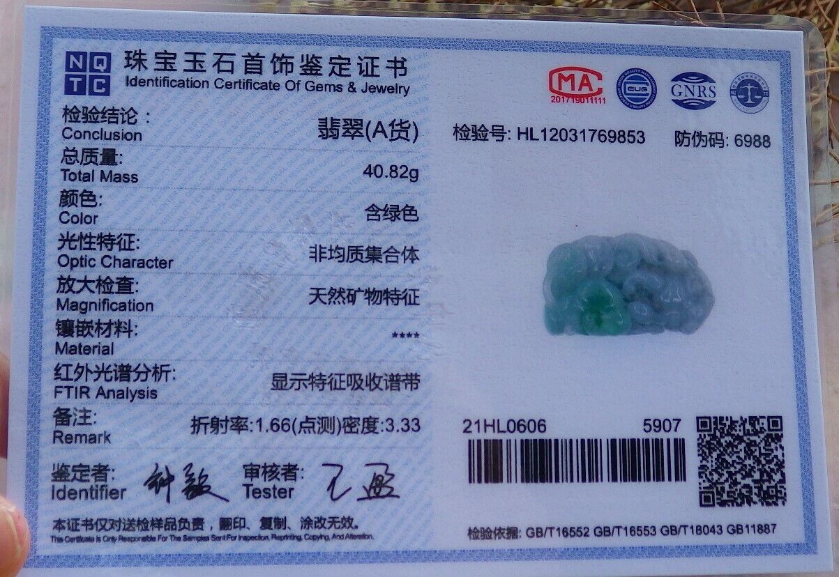 Certified Green 100% Natural A Jade jadeite Pendant Dragon Pi Xiu Money Coin Ruyi Necklace 风水貔貅 528138 TN