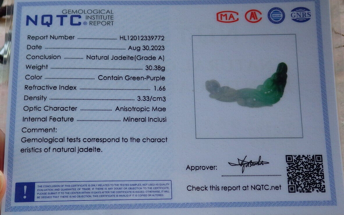 Certified Green Burma 100% Natural A Jade jadeite Pendant Phoenix Bird Flower Necklace 鸟语花香 635267 TN