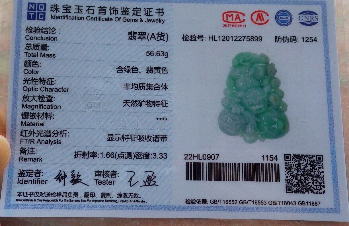 Certified Green 100% Natural A Jade jadeite Pendant Dragon Pi Xiu Frog Toad Peach Coin Necklace 风水貔貅 574019 TN