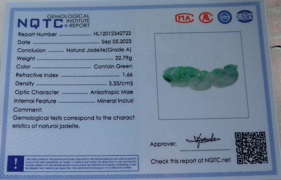 Certified Green Burma 100% Natural A Jade jadeite pendant Mandarin Duck Lotus Leaf Coin Necklace 634051 TN