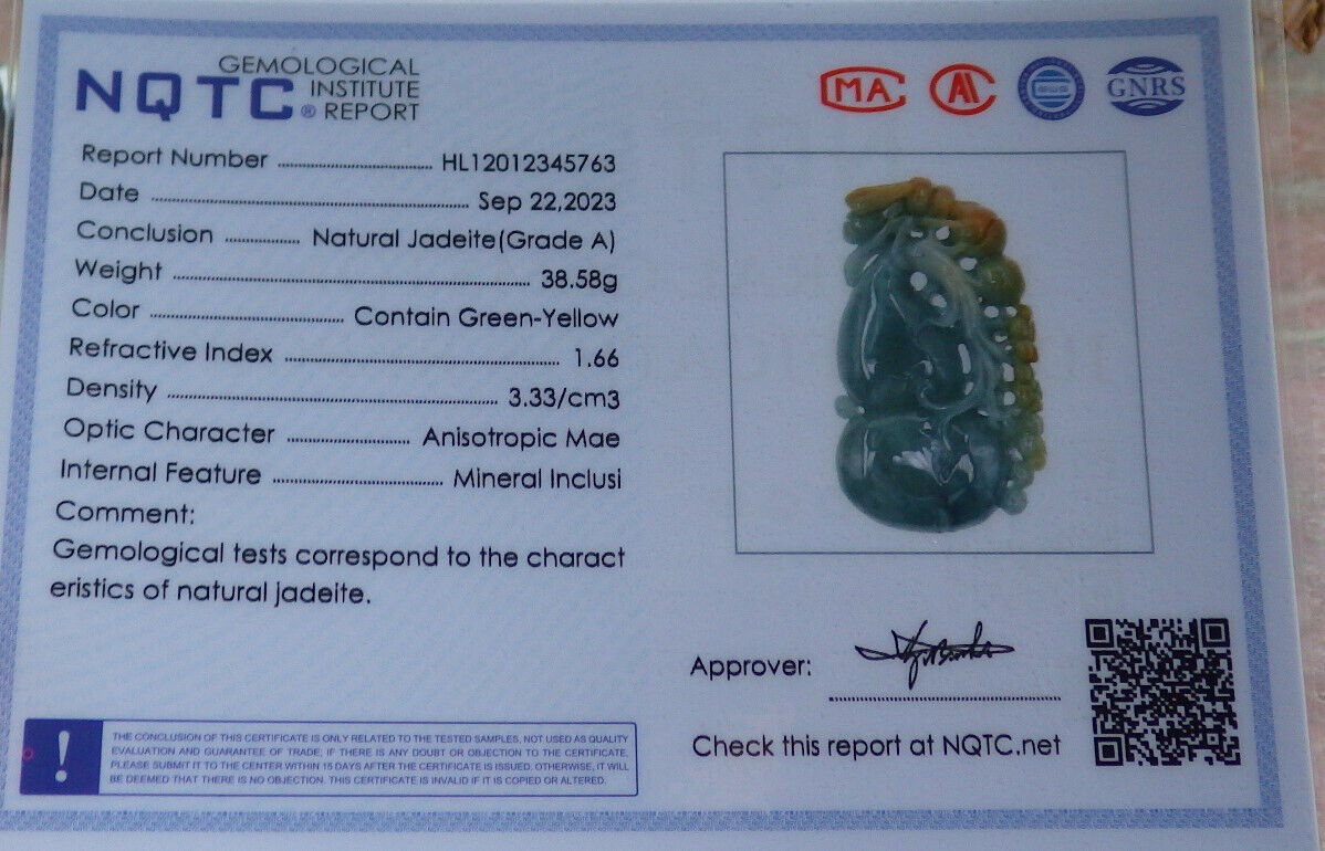 Certified Yellow Green Burma 100% Natural A Jade jadeite Pendant Bee Flower Gourd Coin Necklace 蜜蜂 635614 TN