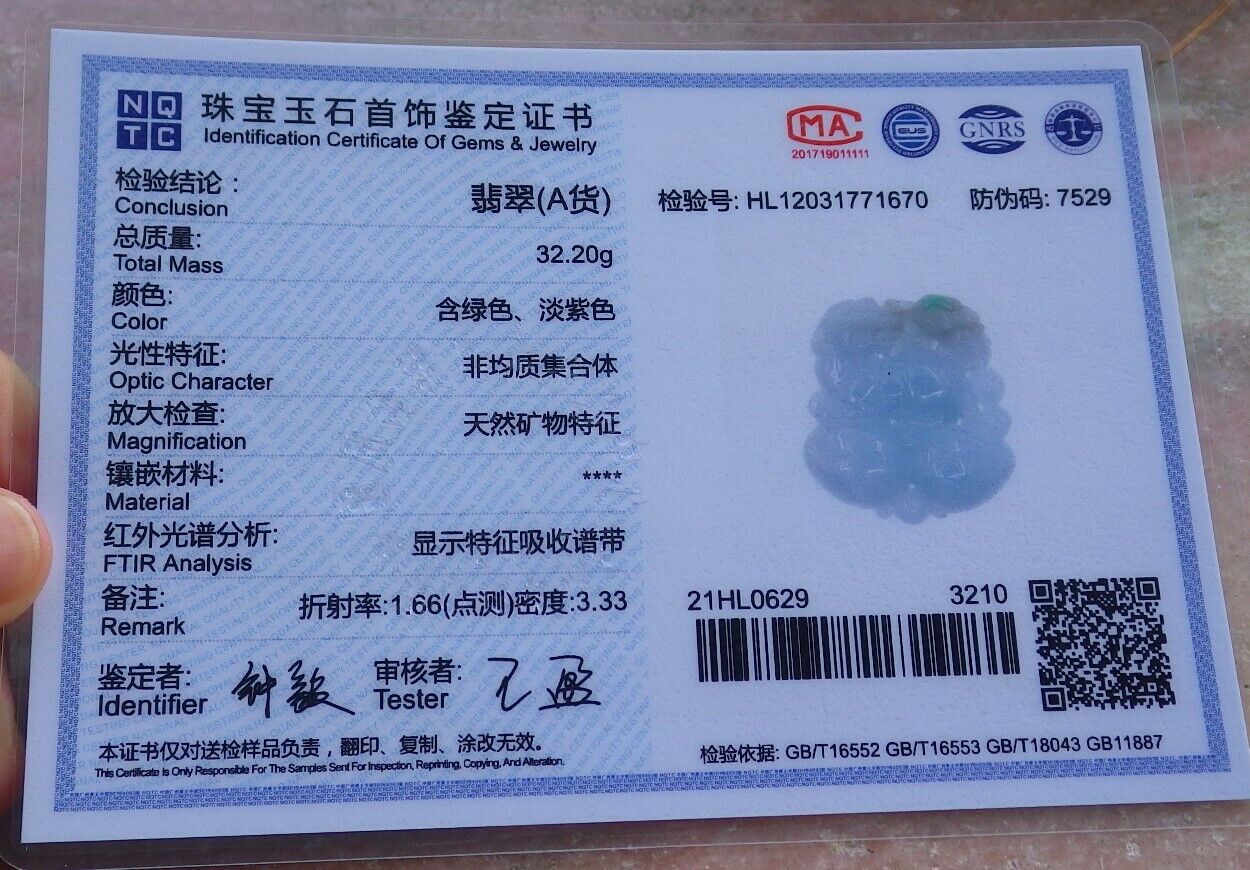 Certified Green 100% Natural A Jade jadeite Pendant Dragon Pi Xiu Frog Toad Money Coin Necklace 风水貔貅 529016 TN
