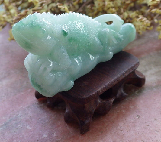 Certified Green 100% Natural A Jade jadeite Display Dragon Lizard Tree 龙蜥蜴 524125  TN