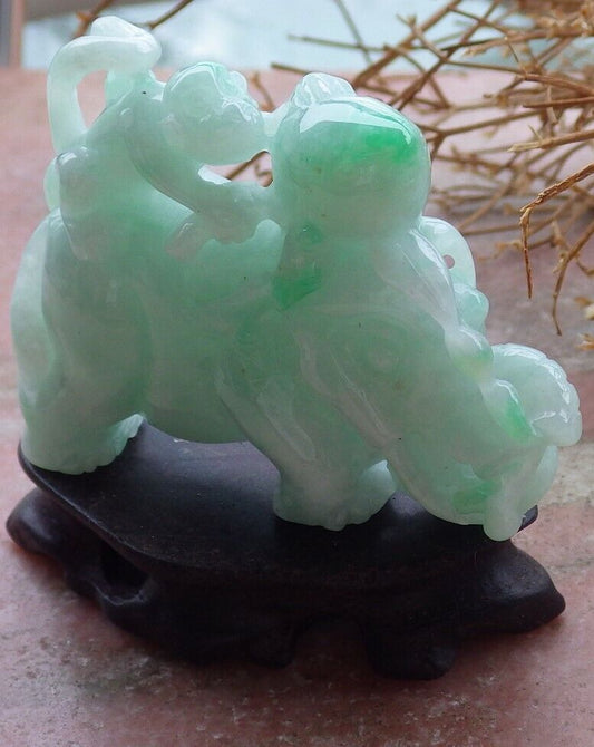 Certified Green 100% Natural A Jade jadeite Display Elephant Money Peach 大象 520344  TN** Include woodstand **