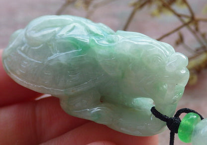 Certified Green Burma 100% Natural A Jade jadeite Pendant Dragon Turtle Snake Coin Necklace 龙龟 633018  TN