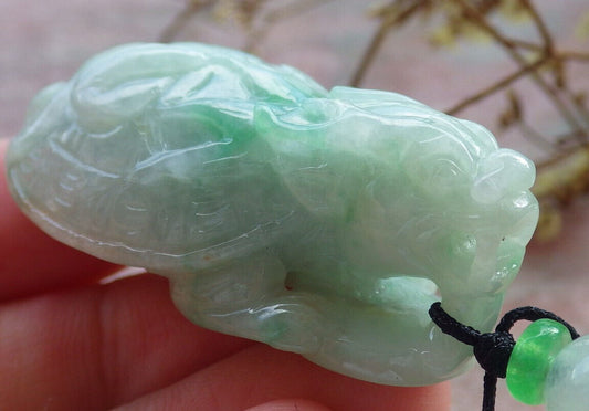 Certified Green Burma 100% Natural A Jade jadeite Pendant Dragon Turtle Snake Coin Necklace 龙龟 633018  TN