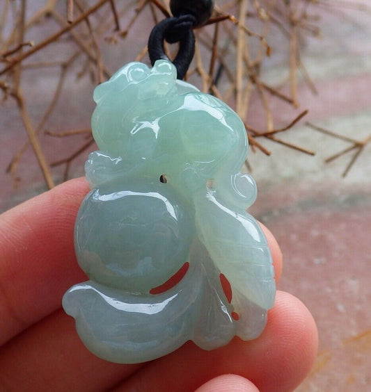 Certified Icy Green 100% Natural A Jade jadeite Pendant Dragon Pi Xiu Ruyi Money Coin Necklace 风水貔貅 528905  TN