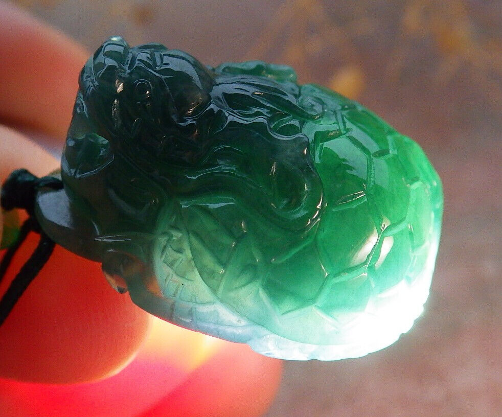 Certified Icy Green Burma 100% Natural A Jade jadeite Pendant Dragon Turtle Money Coin Necklace 龙龟 636559  TN