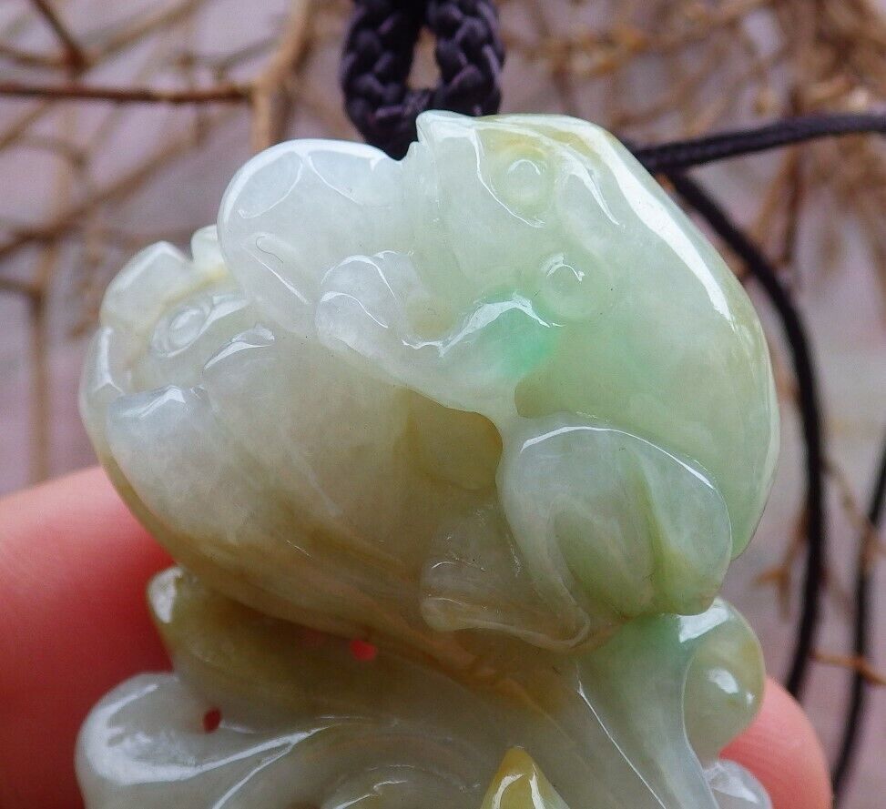 Certified Green Yellow 100% Natural A Jade jadeite Pendant Frog Toad Lotus Flower Coin Necklace 金蟾 528651  TN