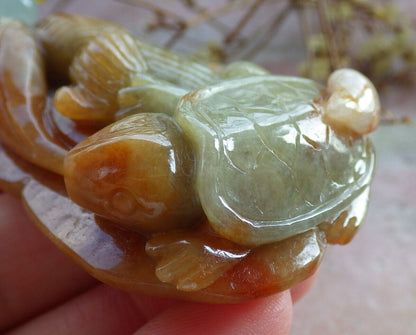 Certified Yellow Green Burma 100% Natural A Jade jadeite pendant Turtle Ruyi Necklace 长寿龟 632601  TN