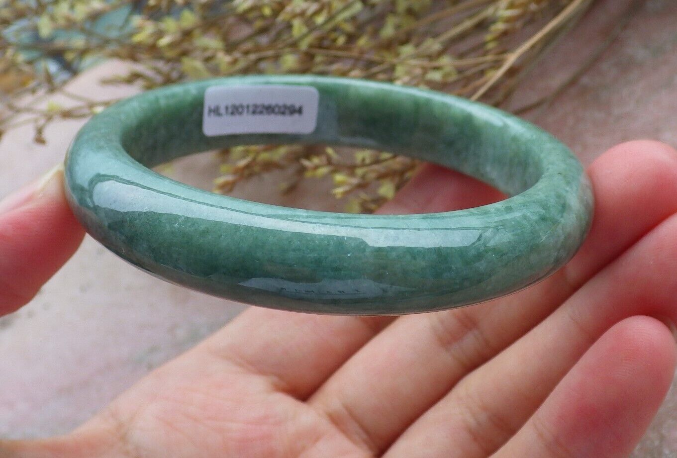 Certified Green Burma 100% Natural A JADE Jadeite Bangle Bracelet 58 mm 手镯 574977 TN