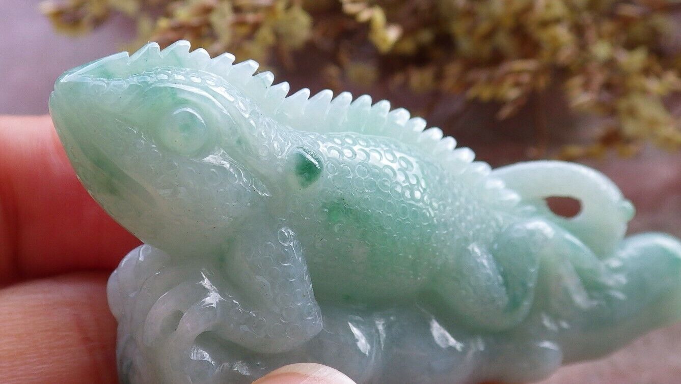 Certified Green 100% Natural A Jade jadeite Display Dragon Lizard Tree 龙蜥蜴 524125  TN