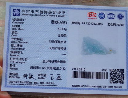 Certified Green Yellow 100% Burma Natural A Jade jadeite Display Dragon Pi Xiu Money Coin 风水貔貅 517740 ** Include woodstand ** TN