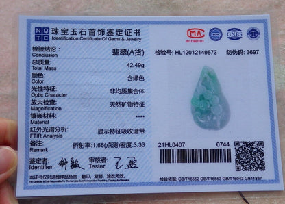 Certified Green 100% Burma Natural A Jade jadeite Pendant Frog Toad Lotus Flower Ruyi Coin Necklace 招财蟾 518851 TN