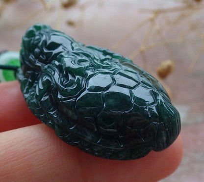 Certified Icy Green Burma 100% Natural A Jade jadeite Pendant Dragon Turtle Money Coin Necklace 龙龟 636567  TN