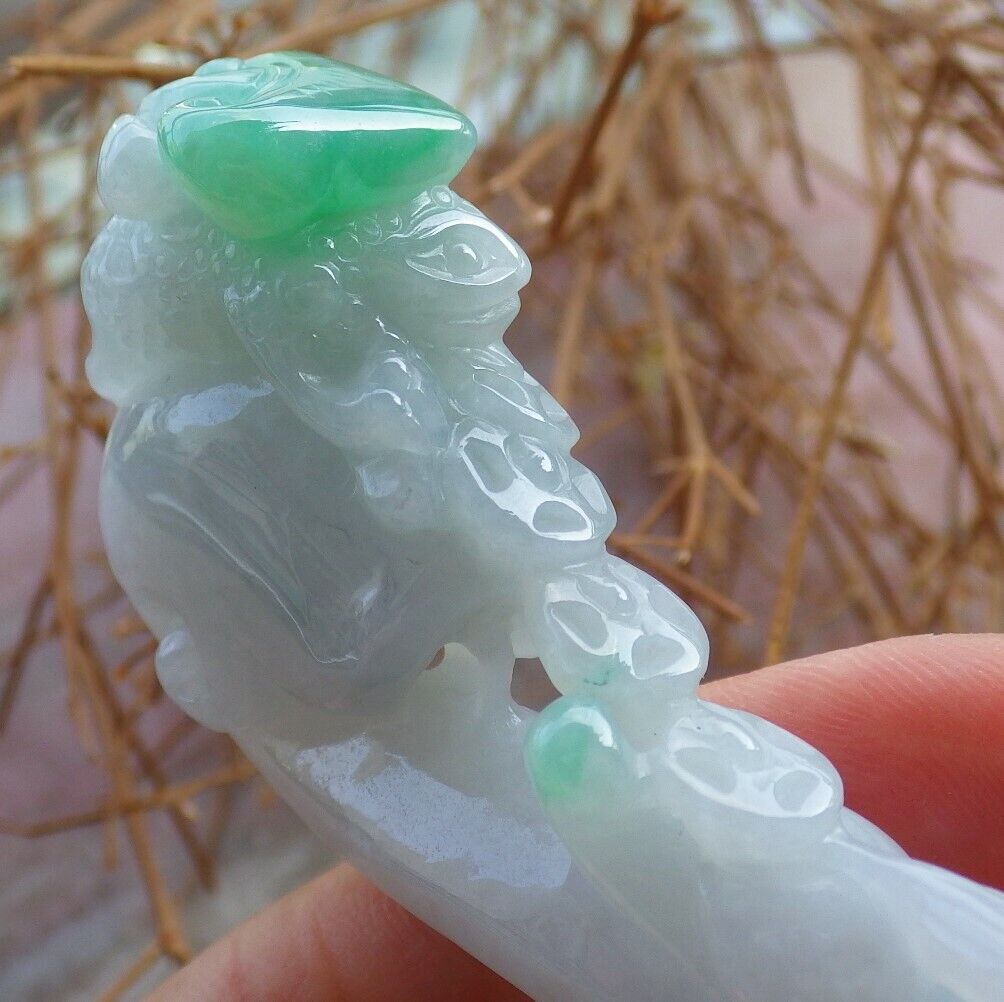 Certified Green 100% Natural A Jade jadeite pendant Frog Toad Ruyi Money Coin Necklace 风水蟾 520245  TN