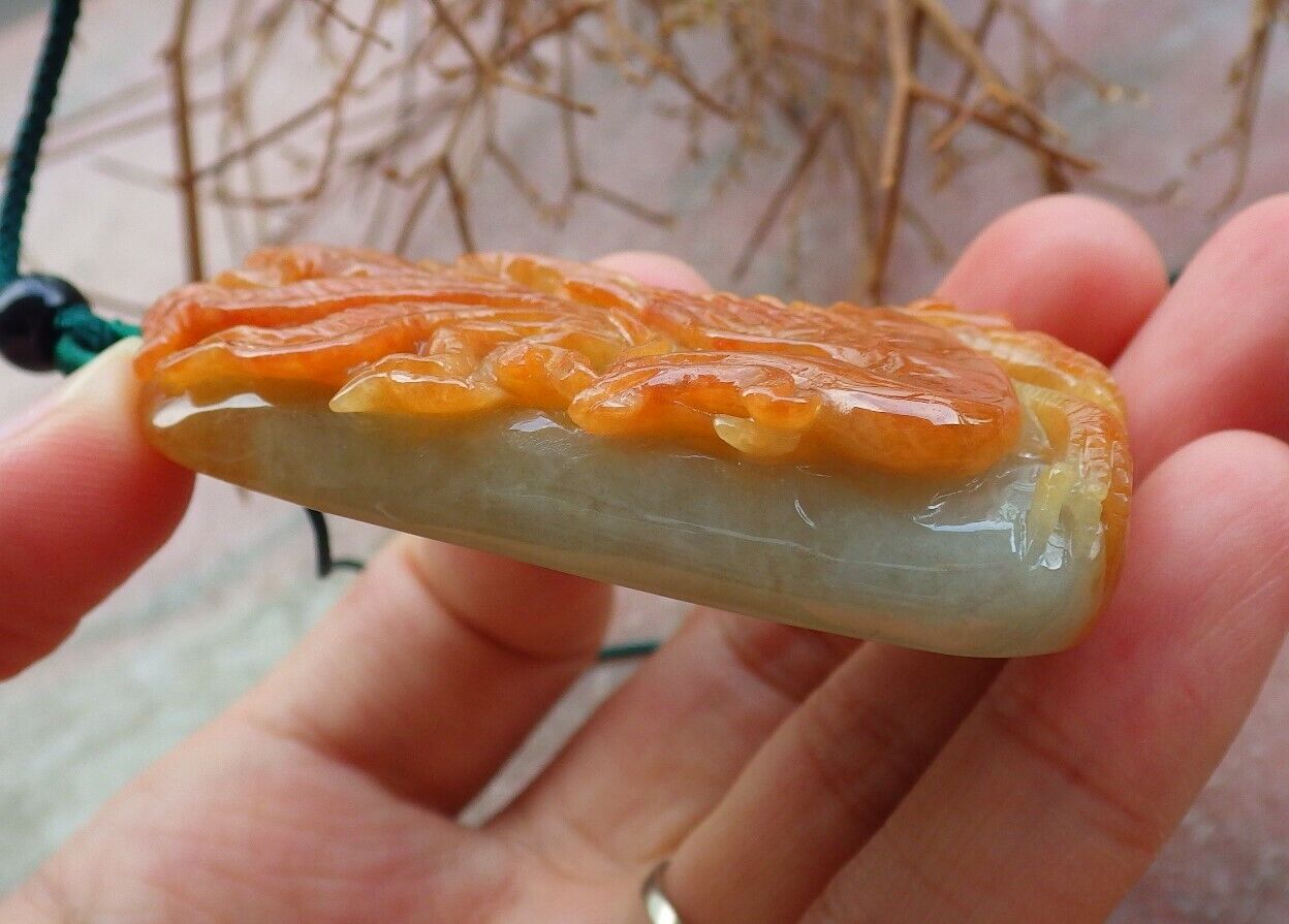 Certified Red Green 100% Natural A Jade jadeite Pendant Phoenix Ruyi Necklace 凤凰 526281  TN