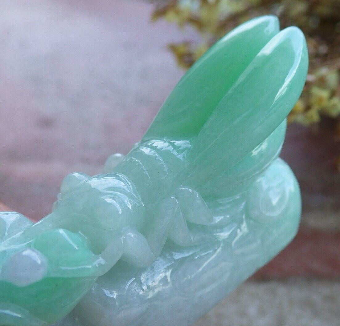 Certified Green 100% Natural A Jade jadeite Display Cicada Tree 一鸣惊人 524098 TN