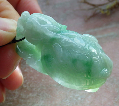 Certified Green Burma 100% Natural A Jade jadeite Pendant Dragon Turtle Snake Coin Necklace 龙龟 633018  TN