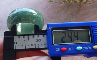 Certified Green Burma 100% Natural A JADE Jadeite Circle RING USA. 14.5 戒指 574869 TN