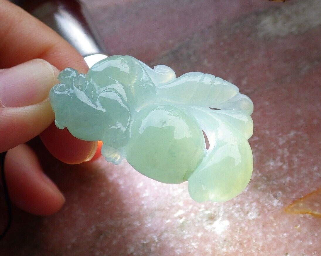 Certified Icy Green 100% Natural A Jade jadeite Pendant Dragon Pi Xiu Ruyi Money Coin Necklace 风水貔貅 528905  TN