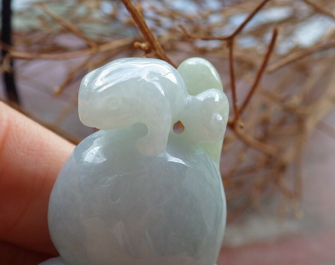 Certified Green 100% Natural A Jade jadeite Pendant Frog Toad Gourd Coin Ruyi Necklace 526364  TN