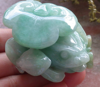 Certified Green Burma 100% Natural A Jade jadeite Display Frog centipede scorpion snake 五毒 601989  TN