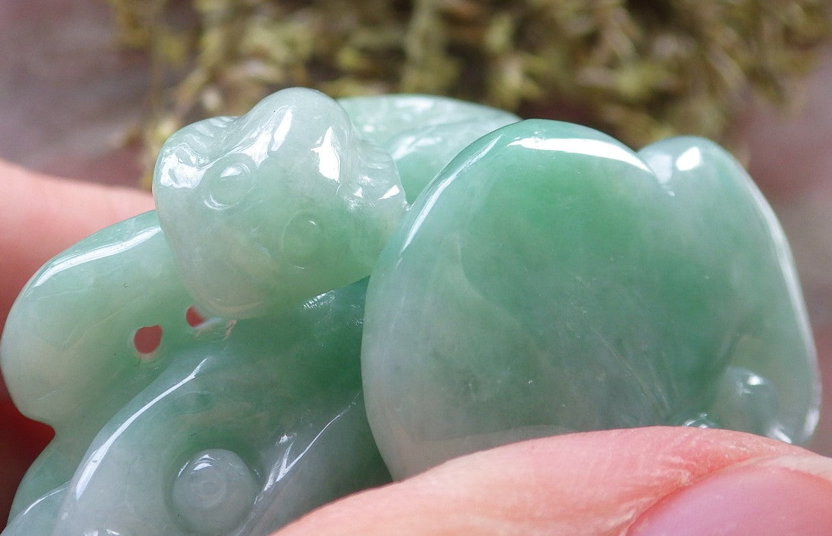 Certified Green Burma 100% Natural A Jade jadeite Display Frog centipede scorpion snake 五毒 601989  TN