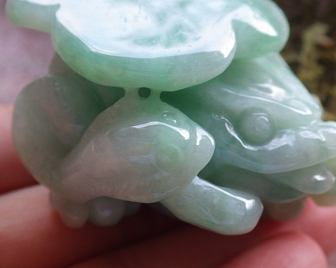 Certified Green Burma 100% Natural A Jade jadeite Display Frog centipede scorpion snake 五毒 601989  TN