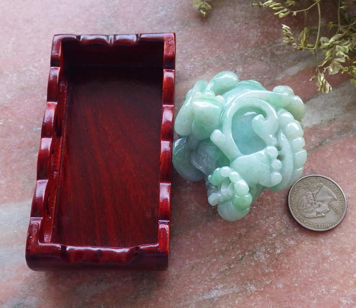 Certified Green Burma 100% Natural A Jade jadeite Display Frog centipede scorpion snake 五毒 601989  TN